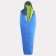 MILLET- BOSSONS -2° REG
