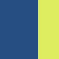B39E29